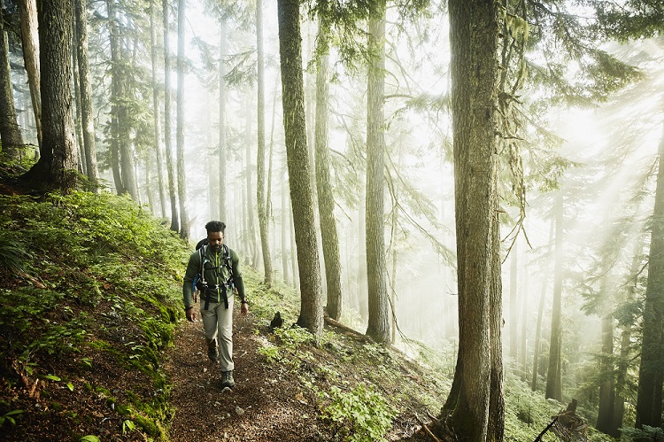 Man hiking along trial in forest on foggy morning