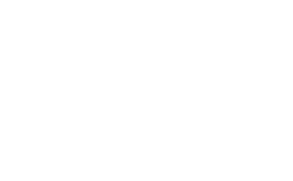 Basha's logo